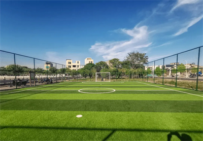 If you want to have a better effect of simulated lawn pavement, you should pay attention to the following points