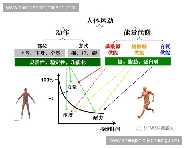 运动科学顾问解读科学训练方法提升身体机能与运动表现 运动科学顾问解读科学训练方法提升身体机能与运动表现